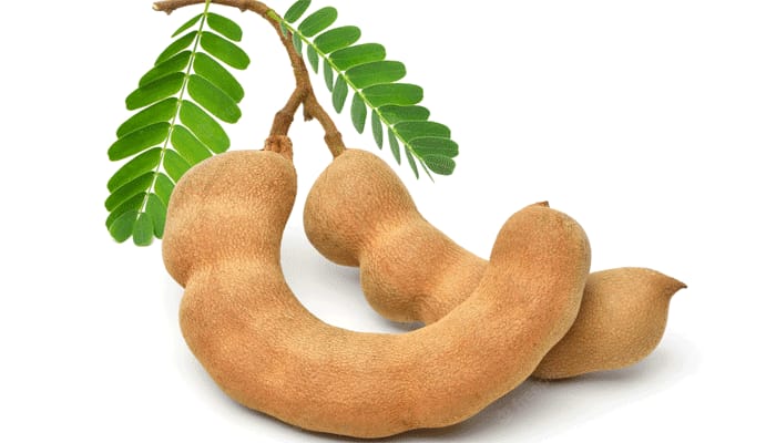 অনেক উপকারী ফল তেঁতুল