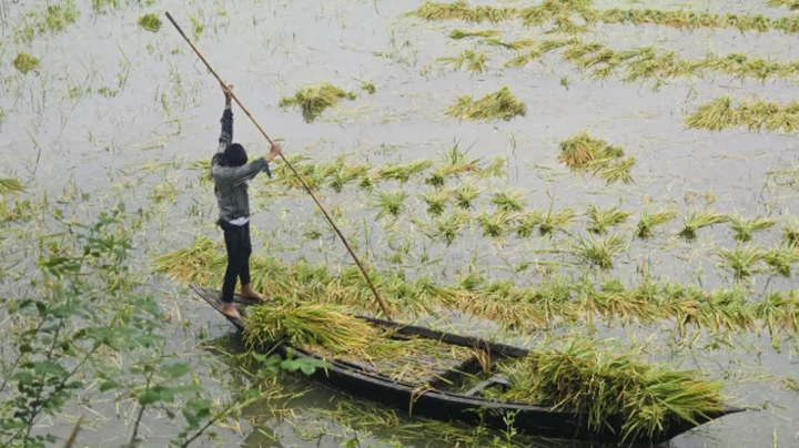হু হু করে পানি ঢুকছে চলনবিলে, দুশ্চিন্তায় কৃষক
