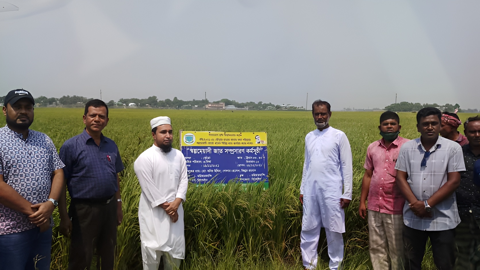 আকস্মিক বন্যা মোকাবিলায় স্বল্পমেয়াদি ধান চাষে সাফল্য বাকৃবি গবেষকদের