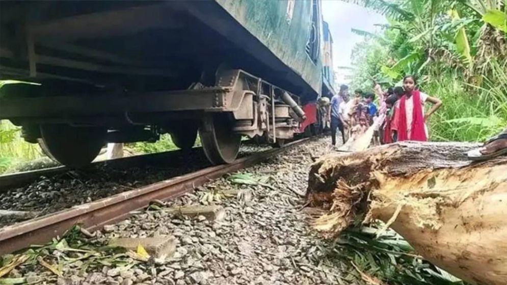 গাছের ডালে ধাক্কা লেগে লাইনচ্যুত ট্রেন