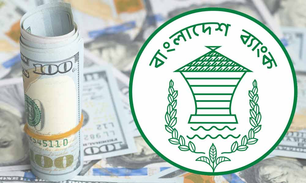 দেশের বৈদেশিক মুদ্রা তহবিলের পালে হাওয়া