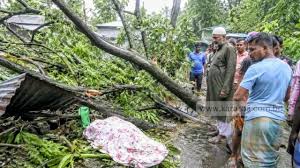 বগুড়ায় ঝড়ে গাছ ভেঙে পড়ে নারীর মৃত্যু