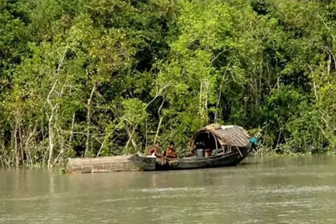 সুন্দরবন প্রবেশে ৩ মাসের নিষেধাজ্ঞা শুরু আজ