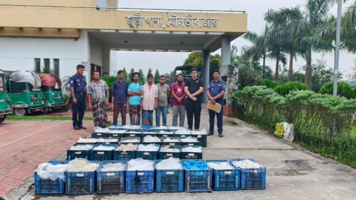 হাকালুকি হাওরে অভিযানে ৫৫০ কেজি পোনা মাছ জব্দ ও জরিমানা