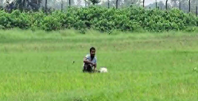 জামালপুরের দেওয়ানগঞ্জ সীমান্তে আবারও পুশইনের চেষ্টায় বাধা