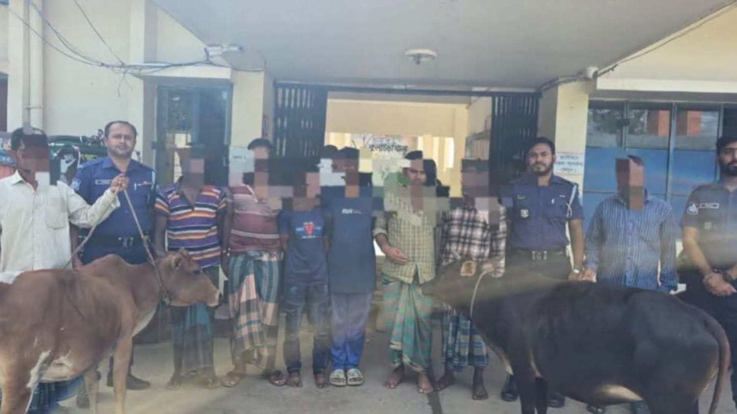 কুলাউড়ায় পুলিশের অভিযানে ৬ গরুচোরসহ দুই গরু উদ্ধার