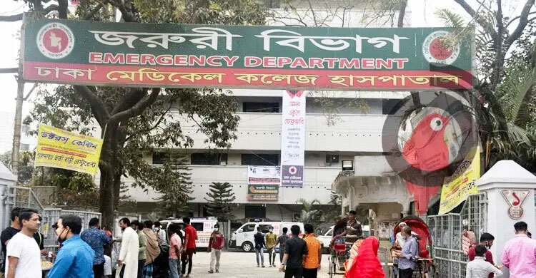 বিদ্যুৎস্পৃষ্টে রংমিস্ত্রির মৃত্যু