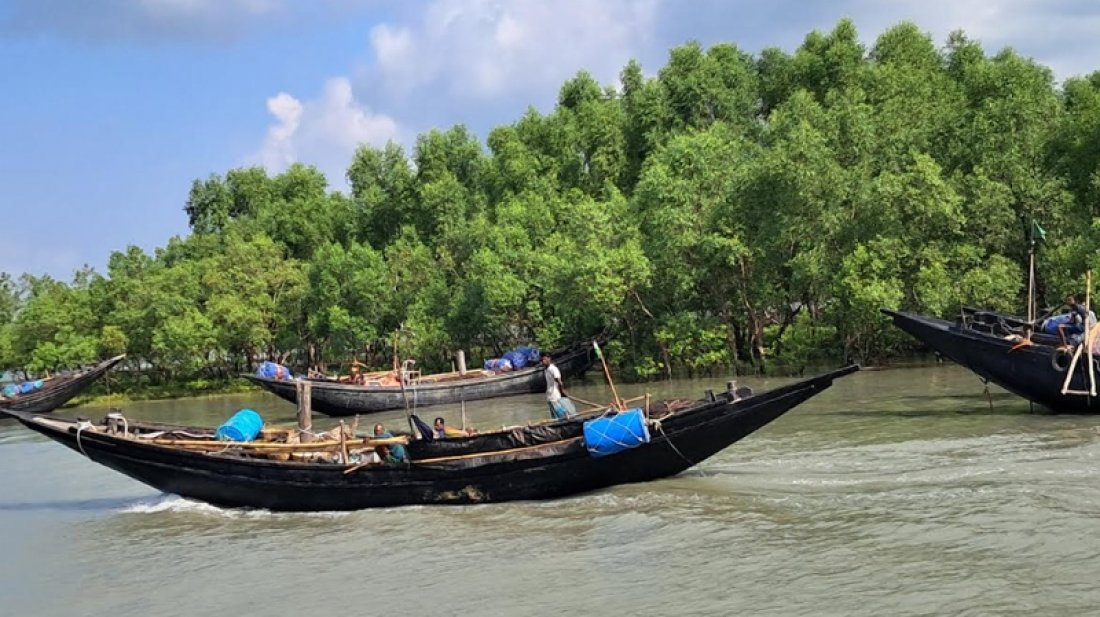 সুন্দরবনে জাহাঙ্গীর বাহিনীর দৌরাত্ম্য : পাঁচ জেলে অপহৃত