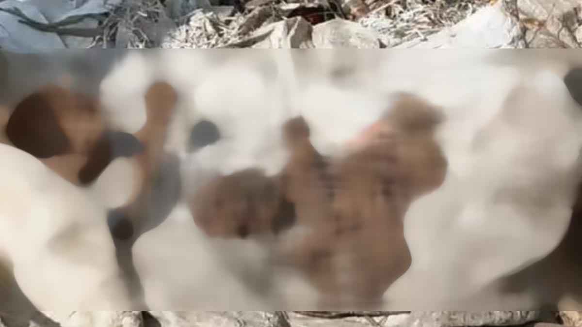 গাজীপুরে ময়লার স্তূপে মিলল মানব কঙ্কাল