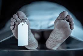 খুলনায় ছেলের লাঠির আঘাতে মায়ের মৃত্যু