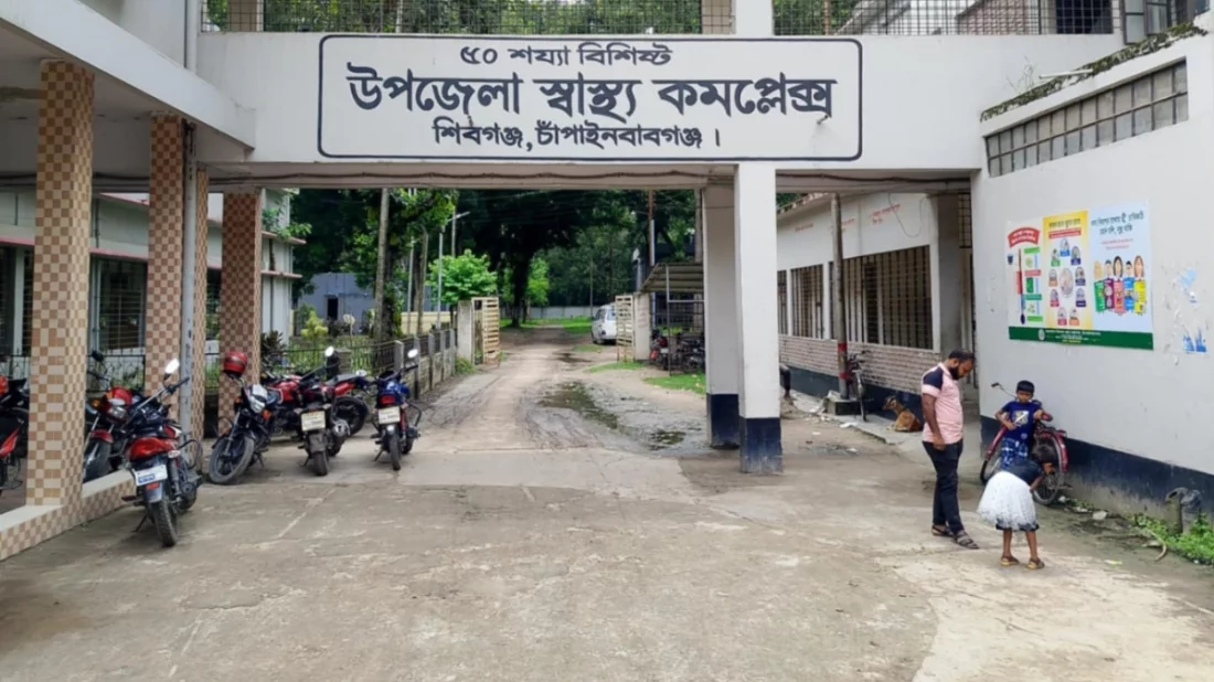 চাঁপাইনবাবগঞ্জে ভিমরুলের কামড়ে বৃদ্ধের মৃত্যু, আহত ১০