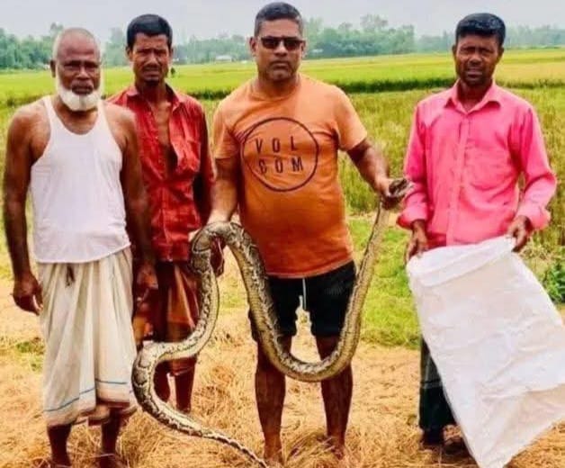 জেলের জালে আটকা পড়া অজগর সাপ উদ্ধার