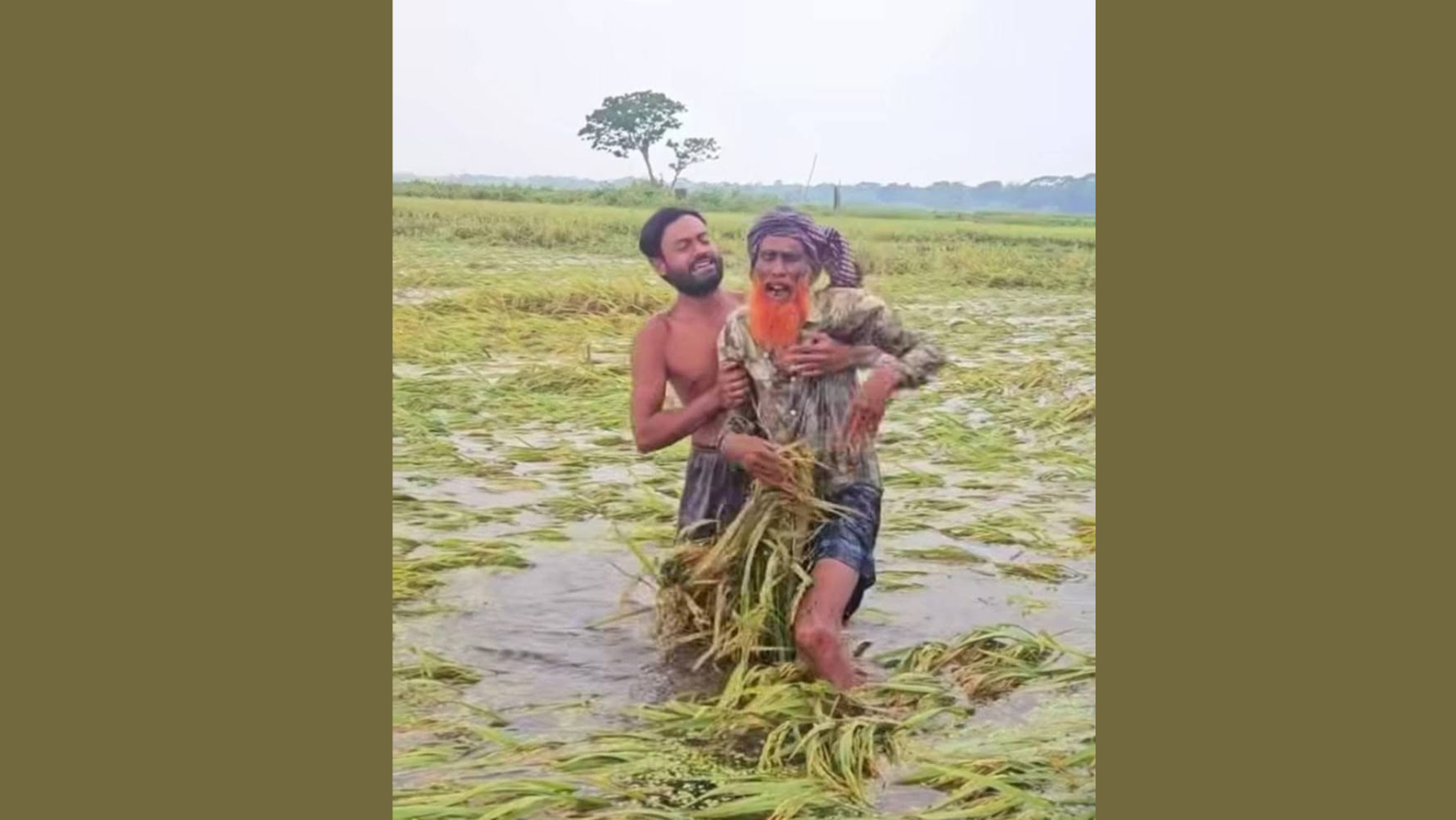 টানা বৃষ্টিতে মৌলভীবাজারে ৮৯৭ হেক্টর ফসলি জমি তলিয়ে গেছে