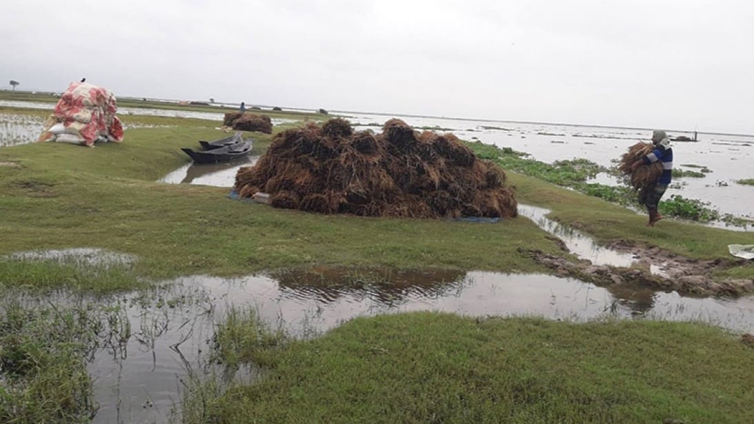 মৌলভীবাজারে নদ-নদীর পানি কমলেও সুনামগঞ্জে বাড়ছে