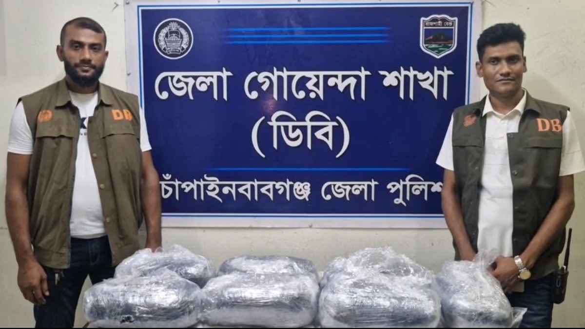 কুরিয়ার সার্ভিসে নাড়ুর আড়ালে গাঁজা পাচার, চাঁপাইনবাবগঞ্জে ডিবি পুলিশের অভিযান