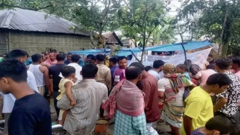 নীলফামারীতে মাছ ধরার পুকুরে সেচযন্ত্র বসাতে গিয়ে প্রাণ গেল দুজনের