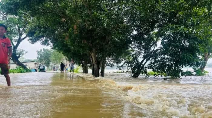 পানিবন্দী ১০ হাজার মানুষ, টমেটো তলিয়ে কৃষকের হাহাকার