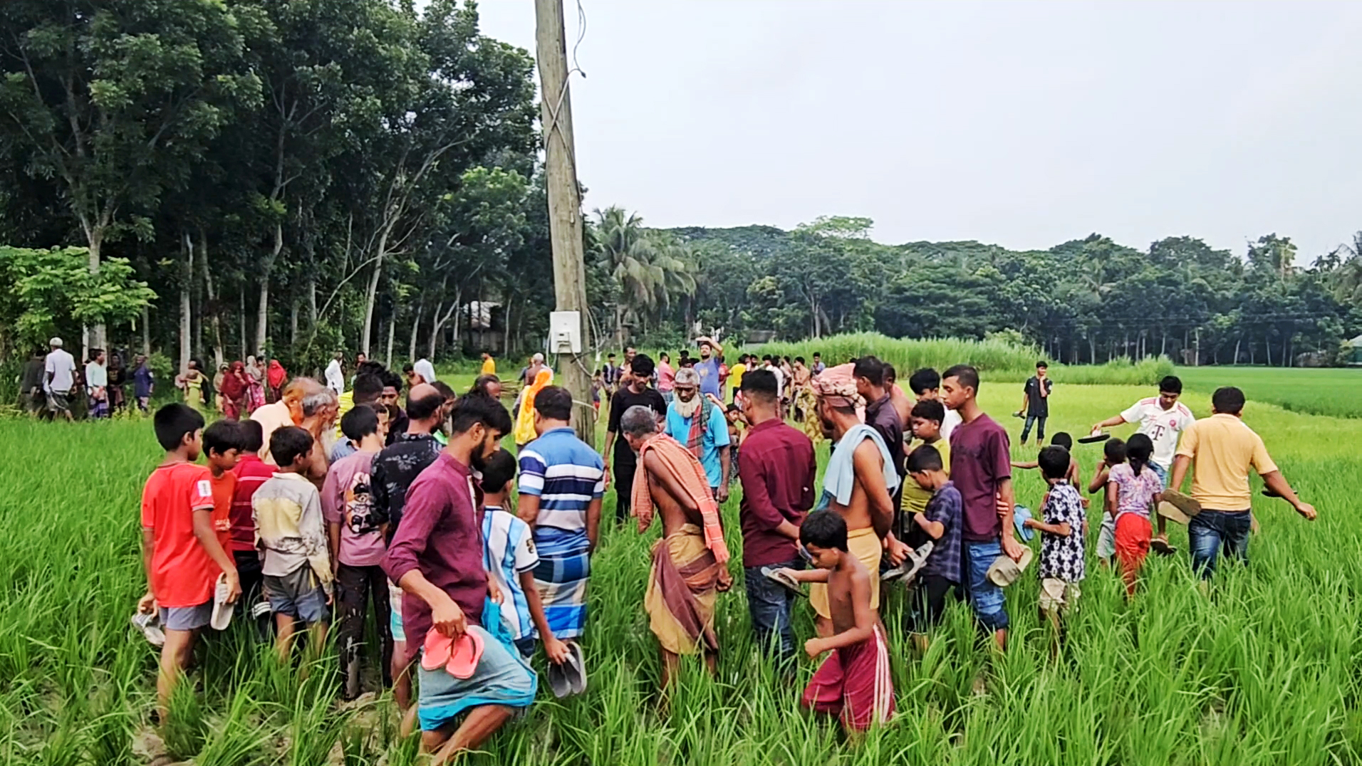 ট্রান্সফরমার চুরির সময় বিদ্যুৎস্পৃষ্ট, ধানখেতে মিলল মরদেহ