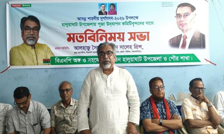দুর্গাপূজা উৎসবমুখর পরিবেশে উদযাপনে বিএনপি পাশে থাকবে : এমরান সালেহ প্রিন্স