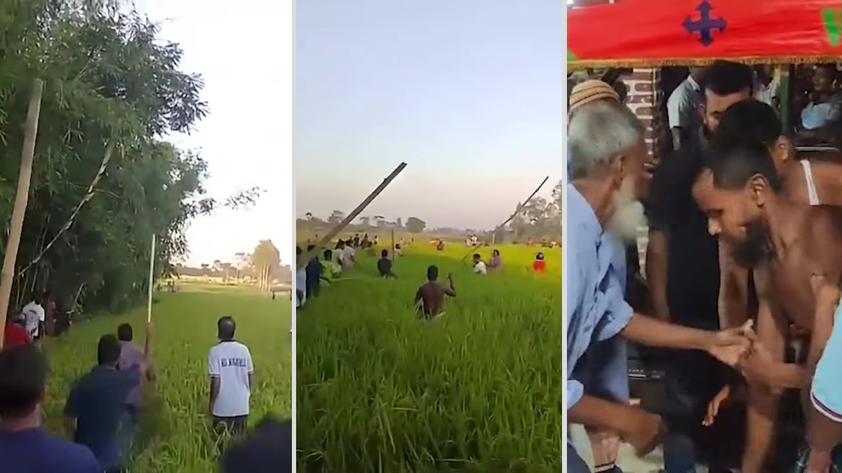 সীমান্তে ভারত থেকে আসা বাঘের আক্রমণে আহত ৩